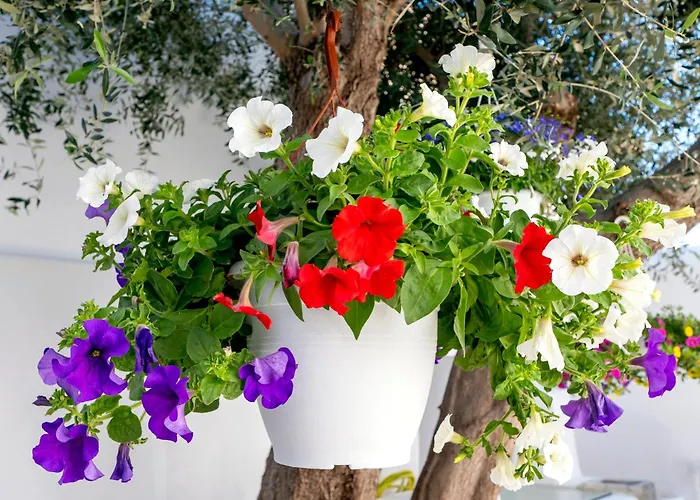 Villa Del Capo Suites